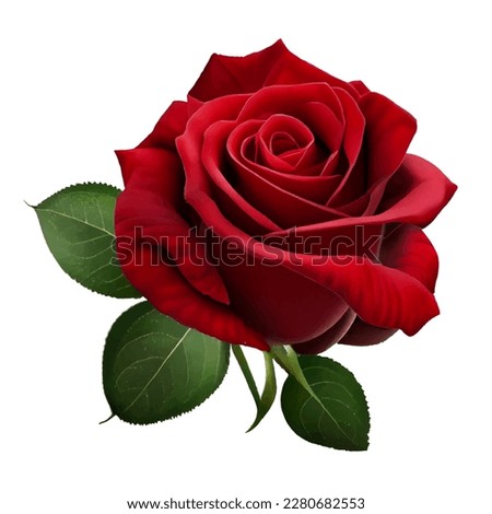 Red rose 3d flower isolated icon, vector illustration on white background. Beautiful blossom gift birthday, holidays, anniversary celebration, elegant detailed rose blooming bud with leaves close up