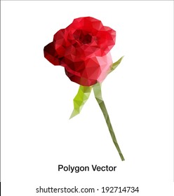 Red rose. abstract polygon vector