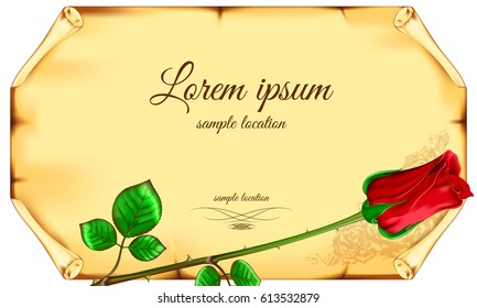 Red rose against the old paper background
