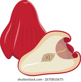 rodaja de manzana rosa roja, la mitad de Vector de manzana rosa.