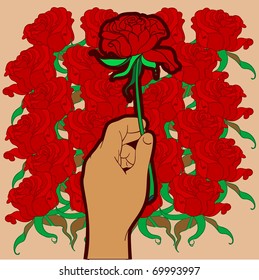 Red Rose in Arm on Background of Red Roses
