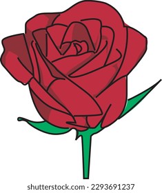 Red Rose Beautiful Flower Botanical Cartoon Vector 