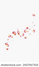 Red Rose Beauty Vector Transparent Background. Falling Blossom Template. Beautiful Petal Fly Frame. Delicate Floral Fall Poster.
