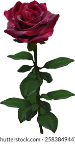 Red Rose Big Red Rose Big Petals With Green Stem And Leaves
