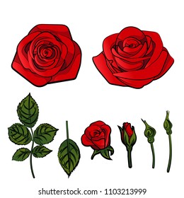 red rose with black contour outline design decor element isolated on white , vector illustration