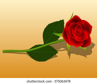 A red rose bloom vector