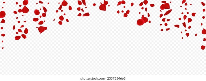 Red Rose Blur Vector Panoramic Transparent Background. Falling Floral Backdrop. Beautiful Sakura Japan Texture. Pink Lotus Fly Pattern.