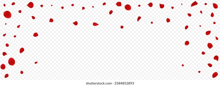 Red Rose Blur Vector Panoramic Transparent Background. Summer Cherry Backdrop. Pink Lotus Beauty Design. Beautiful Flower Fall Pattern.