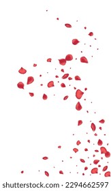 Red Rose Blur Vector White Background. Falling Petal Illustration. Beautiful Cherry Summer Template. Delicate Flower Beauty Frame.