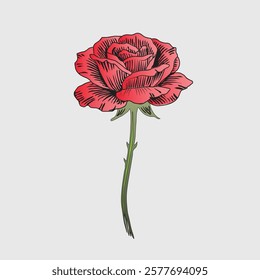 Red Rose Botanical Royalty Art