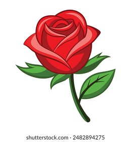 a red rose bud isolated on white