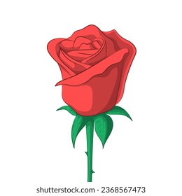 Red rose. Bud, leaves, thorns. Celebration and decoration. Realistic design, sketch. Vector illustration isolated on white background.