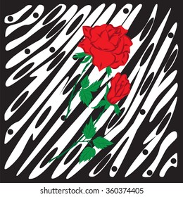 red rose and bud on a long green stem with leaves in the background decoration of black and white greeting cards invitations of the wedding  birthday  Valentine's Day  Mother's Day  vector 