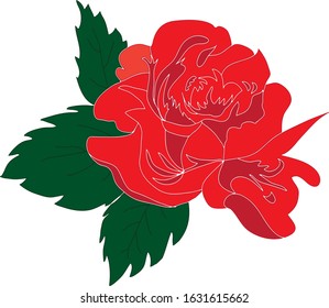 
Red rose bud, vector for greeting card