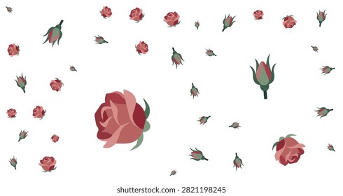 red rose buds and full blooms with green leaves scattered over white background creating floral pattern and decorative design