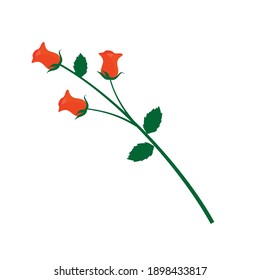 La rosa roja se cierne sobre una rama con hojas. Vector, fondo blanco, aislado.