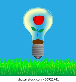 Red rose in the bulb