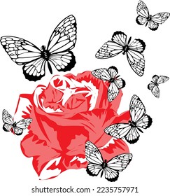 red rose and butterflies illustration vector design