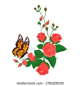 Red rose and Butterflies on white background. Illustration vector