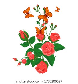Red rose and butterfly with white background. Illustration vector