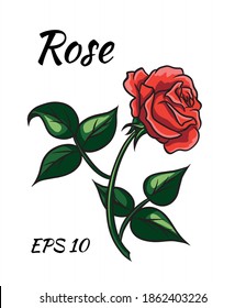 Red rose cartoon style on a white background.