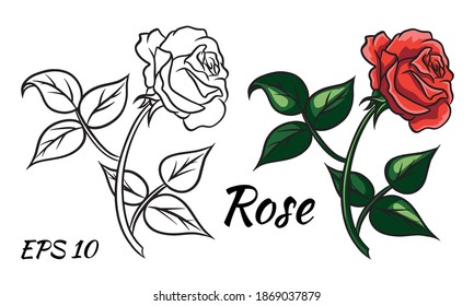 Red rose cartoon style on a white background.