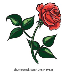 Red rose cartoon style on a white background. Red rose on the stem