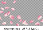 Red rose and cherry blossom falling sakura petals on fake transparent background, isolated special effect. Vector illustration in eps format. Elements for Valentine