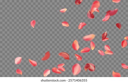 Red rose and cherry blossom falling sakura petals on fake transparent background, isolated special effect. Vector illustration in eps format. Elements for Valentine's Day, Mother's Day, March 8. Love.