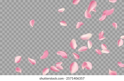 Red rose and cherry blossom falling sakura petals on fake transparent background, isolated special effect. Vector illustration in eps format. Elements for Valentine's Day, Mother's Day, March 8. Love.