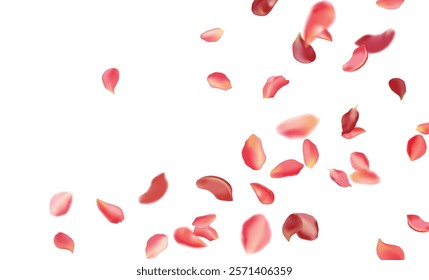 Red rose and cherry blossom falling sakura petals on fake transparent background, isolated special effect. Vector illustration in eps format. Elements for Valentine's Day, Mother's Day, March 8. Love.