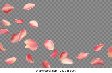 Red rose and cherry blossom falling sakura petals on fake transparent background, isolated special effect. Vector illustration in eps format. Elements for Valentine's Day, Mother's Day, March 8. Love.