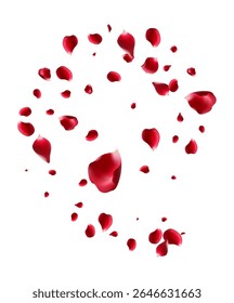 Red rose and cherry blossom falling Elements for Valentine's Day, Mother's Day, March 8. sakura petals on fake transparent background, isolated