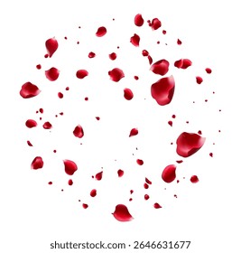 Red rose and cherry blossom falling Elements for Valentine's Day, Mother's Day, March 8. sakura petals on fake transparent background, isolated