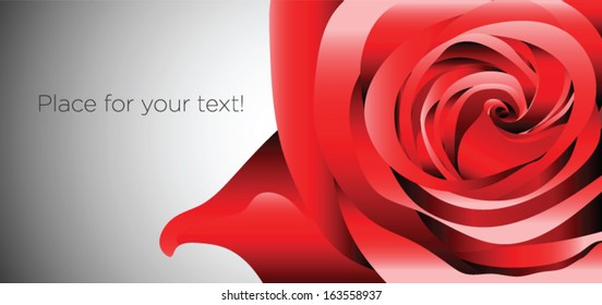 Red rose close up background with place for your text, headline ext.