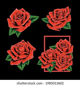 Red Rose Collection Vector Illustration.