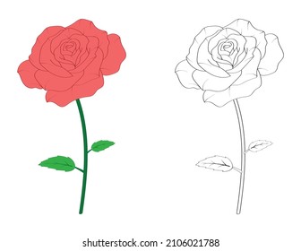 Rosa roja para página de color