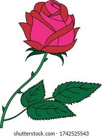 Red rose with curved petals and spikes