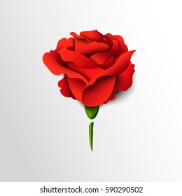 Red rose cut out of paper. Floral background.Vector