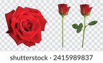red, rose, Valentine’s Day, collage, blooming, Red rose  Realistic love  Fresh, full, single beautiful, 3d flower, vector advertisement, isolated on white background. png, 