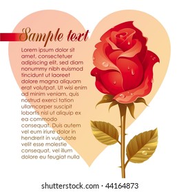 rote Rose mit Tau