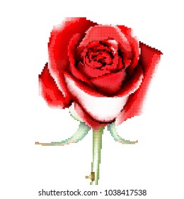 Red Rose with dots, halftone, vector