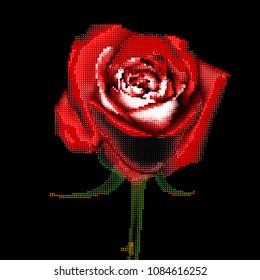 Red Rose with dots, halftone, vector