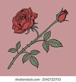 Red rose drawing with bud and leaves