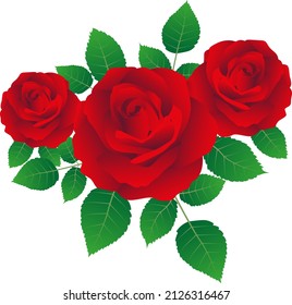 Red Rose Drawing Illustration By Vector Stock Vector (Royalty Free ...