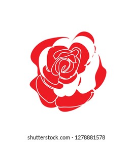Red Rose Drawing on white background. vector illustration for banner, poster, web, template, valentine's card, wedding.