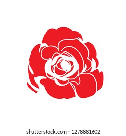 Red Rose Drawing on white background. vector illustration for banner, poster, web, template, valentine's card, wedding.
