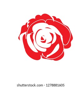 Red Rose Drawing on white background. vector illustration for banner, poster, web, template, valentine's card, wedding.