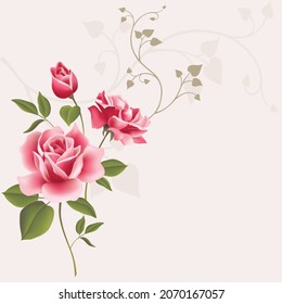 Red rose with elegant style and background