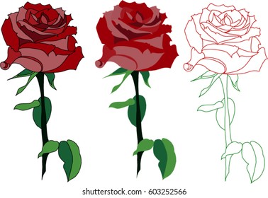 red rose (eps10)